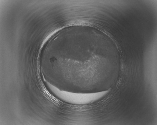 X0000085061120200703261157