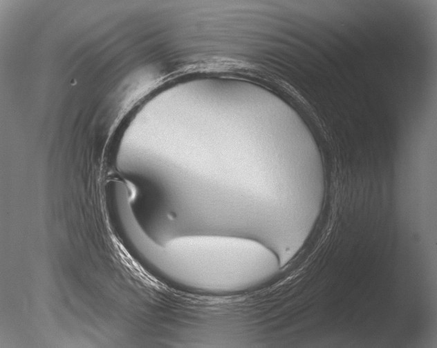 X0000085061122200703261157