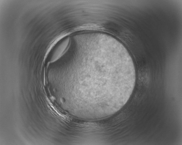 X0000085061123200703261157