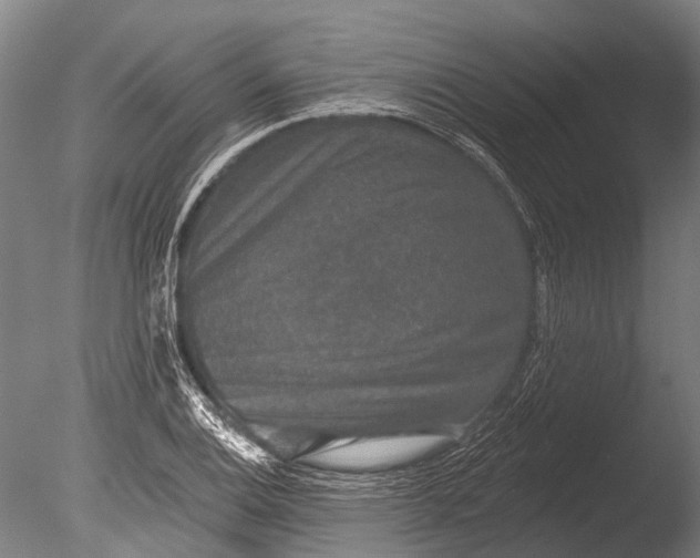 X0000085061124200703261157