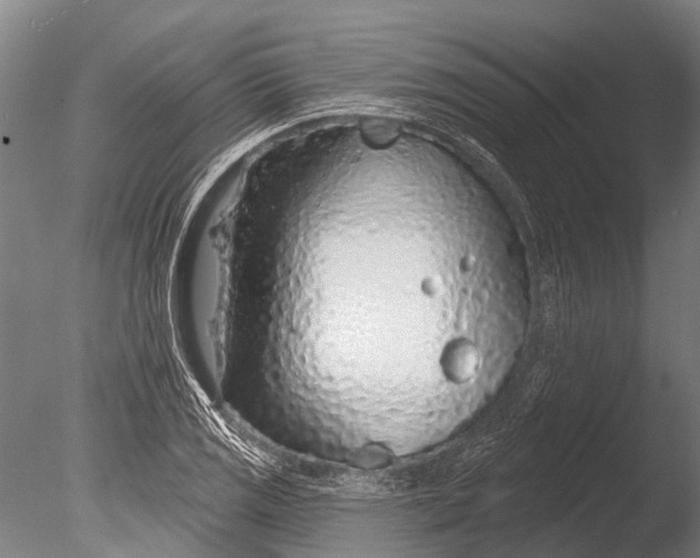 X0000085061125200703261157