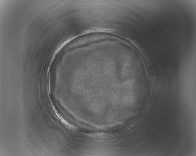 X0000085061127200703261157