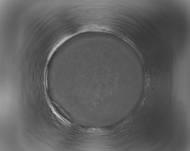 X0000085061128200703261157