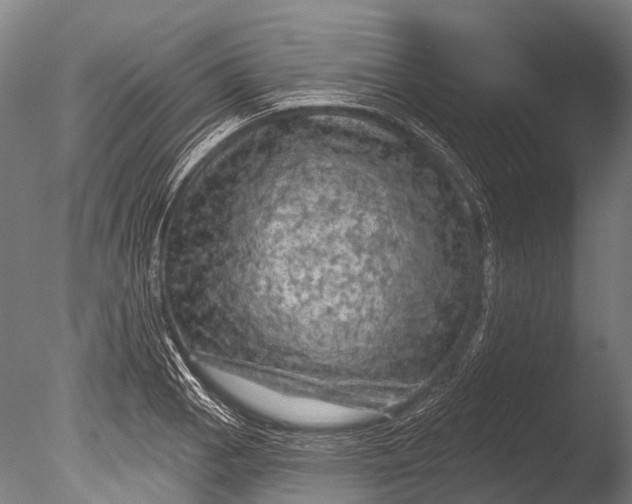 X0000085061129200703261157