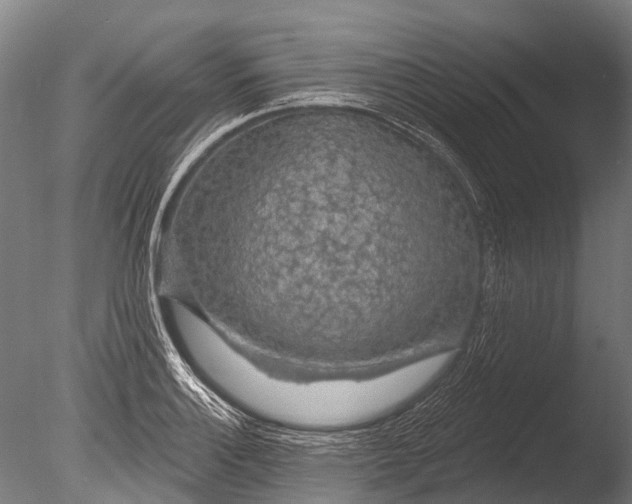 X0000085061132200703261157