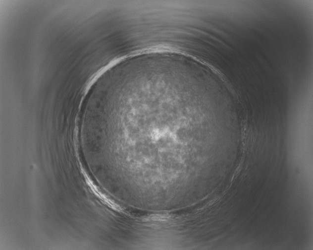 X0000085061134200703261157