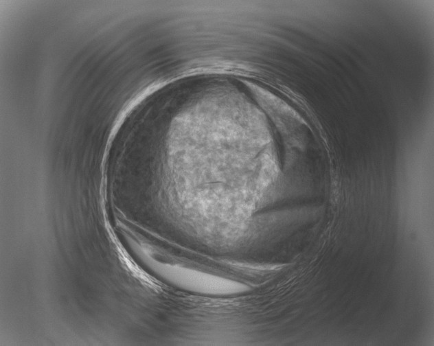 X0000085061136200703261157