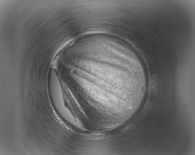 X0000085061137200703261157