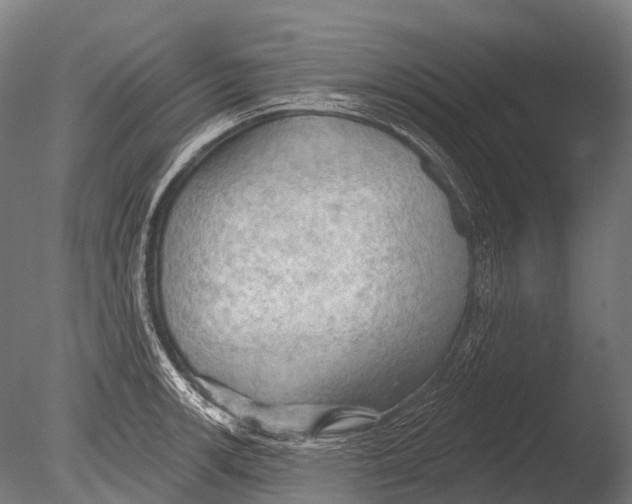 X0000085061139200703261157