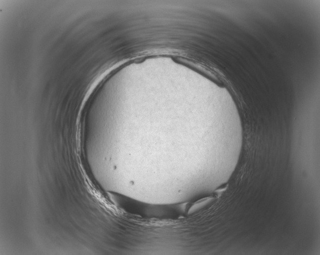 X0000085061140200703261157