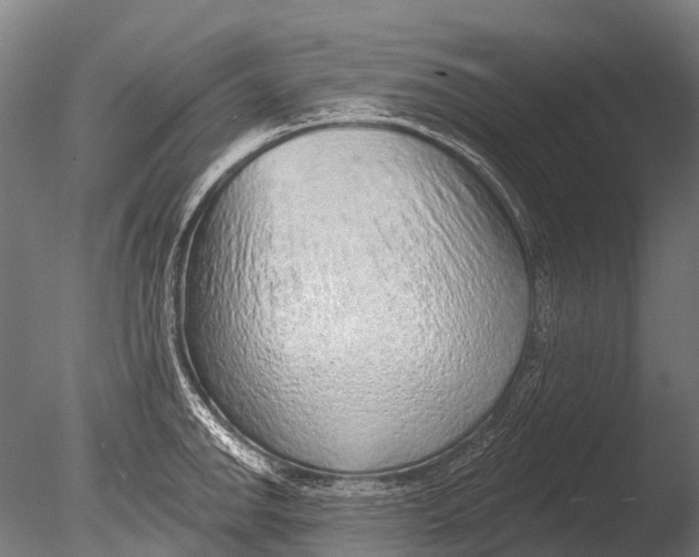 X0000085061142200703261158