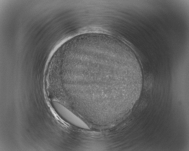 X0000085061144200703261158