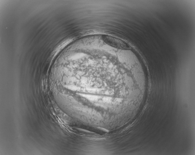 X0000085061145200703261158