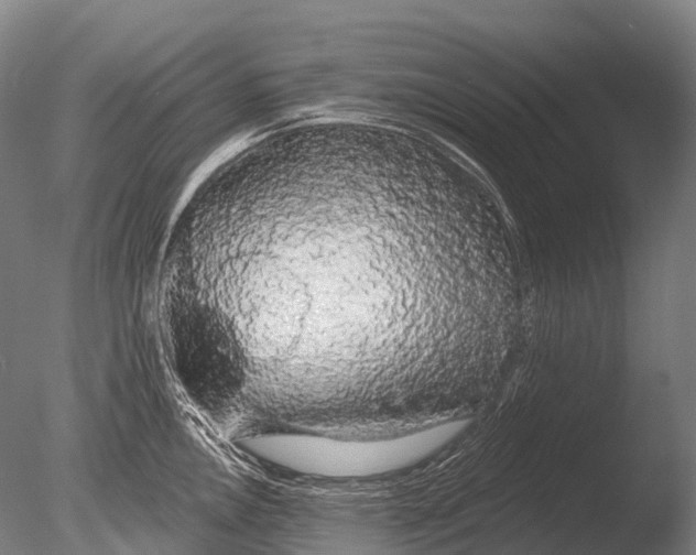 X0000085061146200703261158