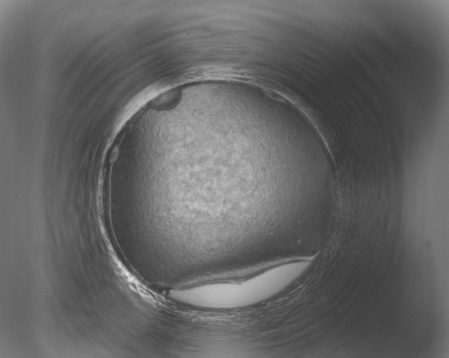 X0000085061147200703261158