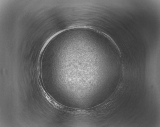 X0000085061148200703261158