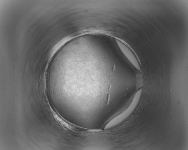 X0000085061151200703261158