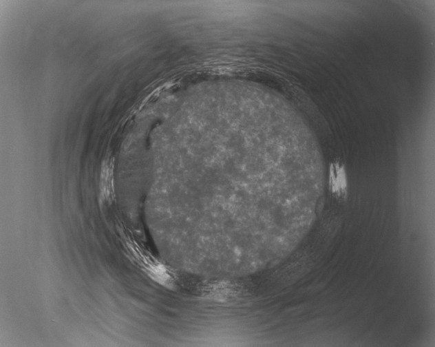 X0000085061155200703261157