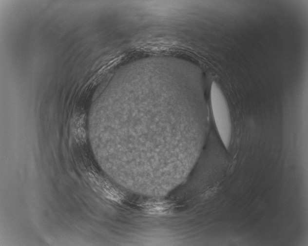 X0000085061156200703261157