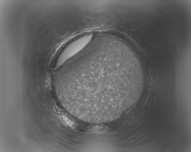 X0000085061160200703261157