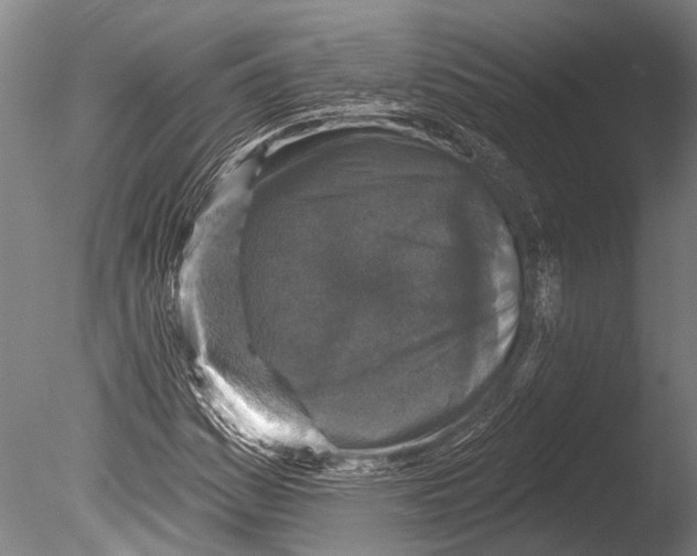 X0000085061161200703261157