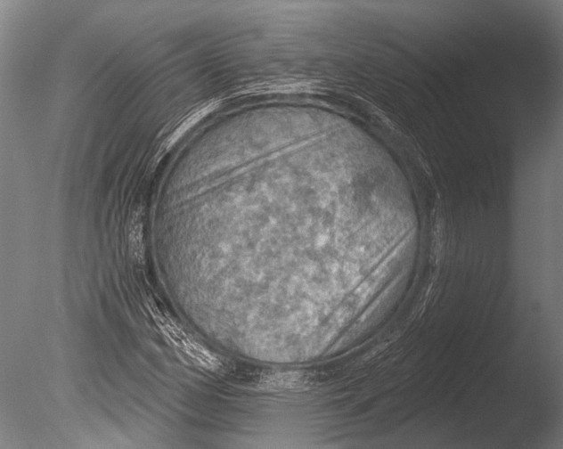 X0000085061162200703261157