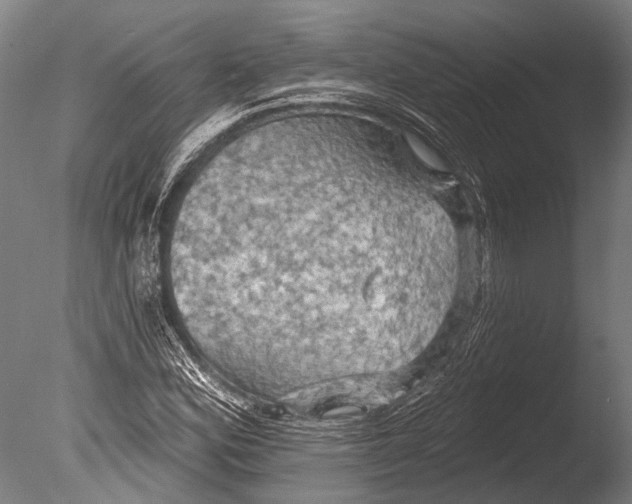 X0000085061164200703261157