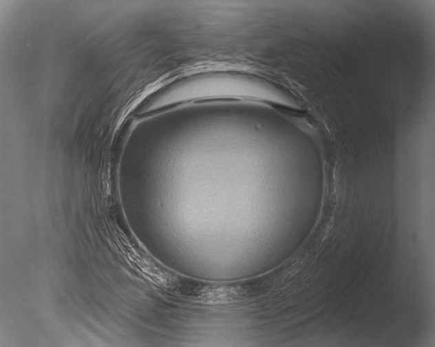 X0000085061165200703261157