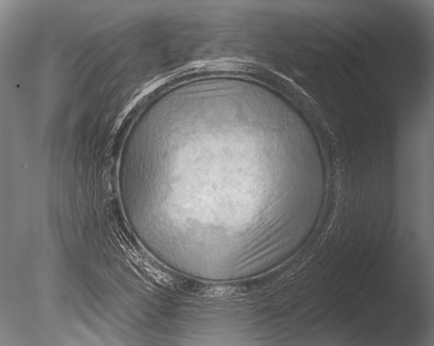 X0000085061166200703261157