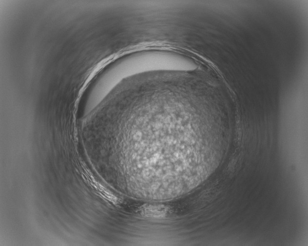 X0000085061168200703261157