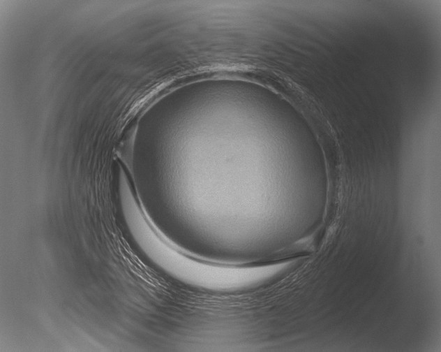 X0000085061169200703261157