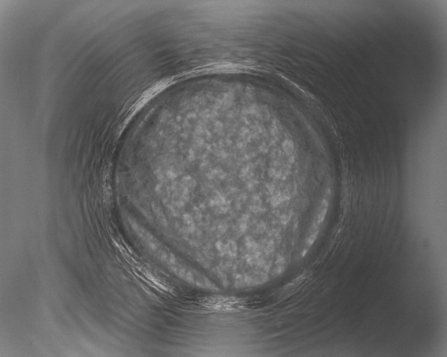 X0000085061170200703261157