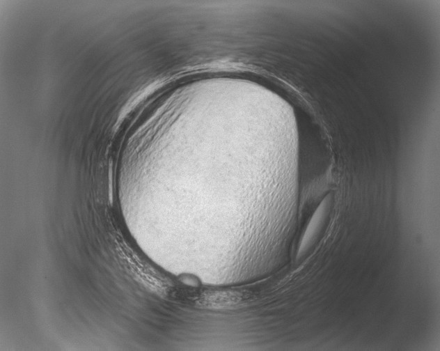 X0000085061171200703261157