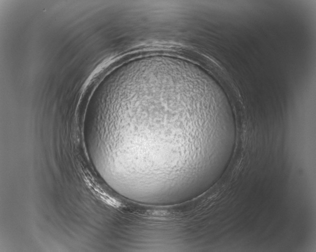 X0000085061172200703261157