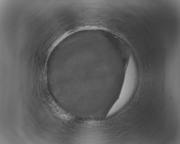 X0000085061173200703261157