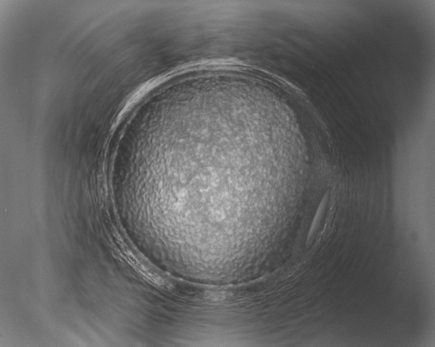 X0000085061176200703261156