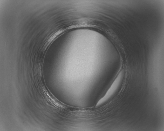 X0000085061177200703261156