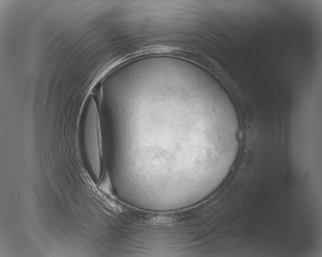 X0000085061178200703261156