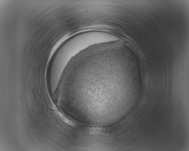 X0000085061180200703261156