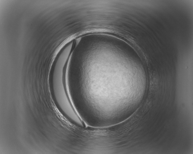 X0000085061181200703261156