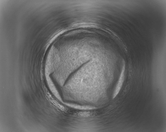 X0000085061182200703261156