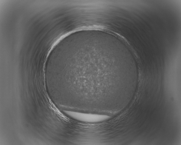 X0000085061184200703261156