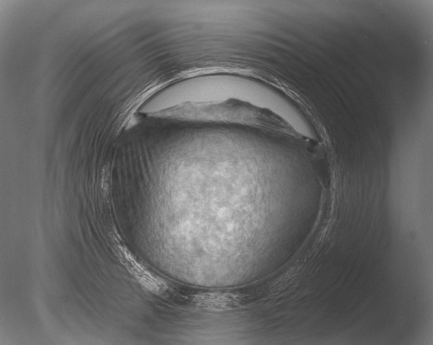 X0000085061185200703261156