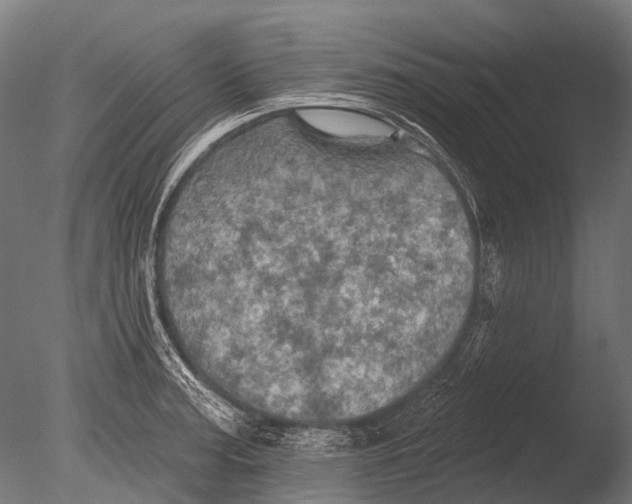 X0000085061187200703261156