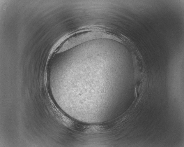 X0000085061188200703261156