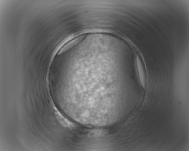 X0000085061189200703261156