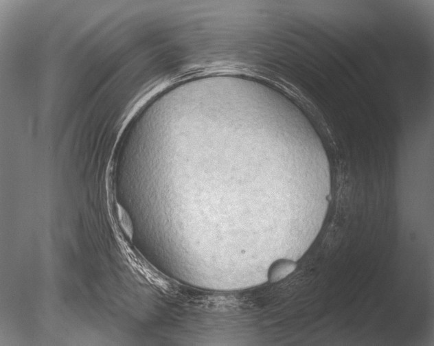 X0000085061190200703261156