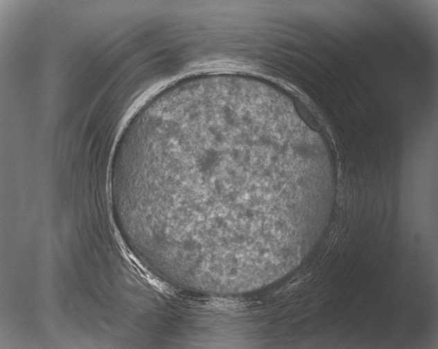 X0000085061191200703261156