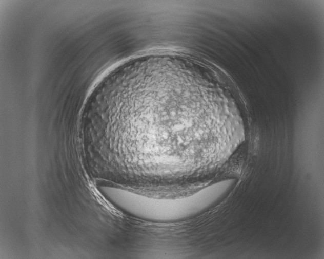 X0000085061192200703261156