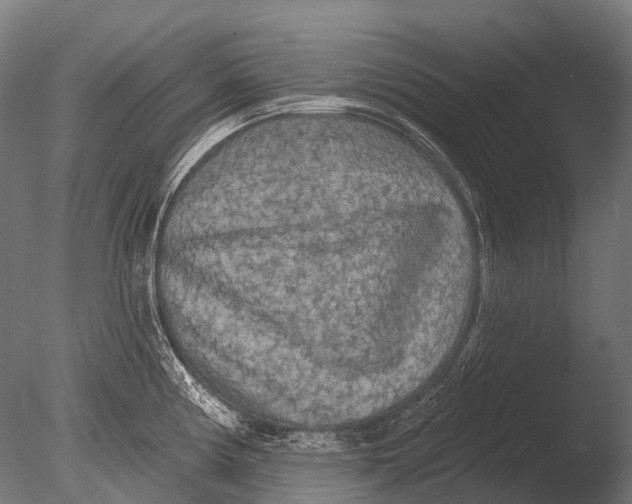 X0000085061194200703261156